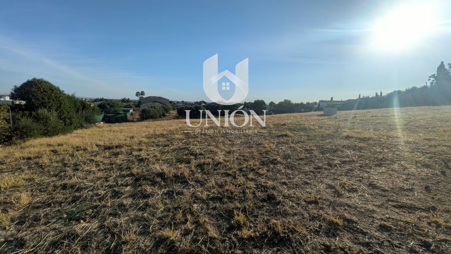 TERRENO EN CARRIL DEL PINO (CTRA. MARCHENA - LA PUEBLA) - Foto 8