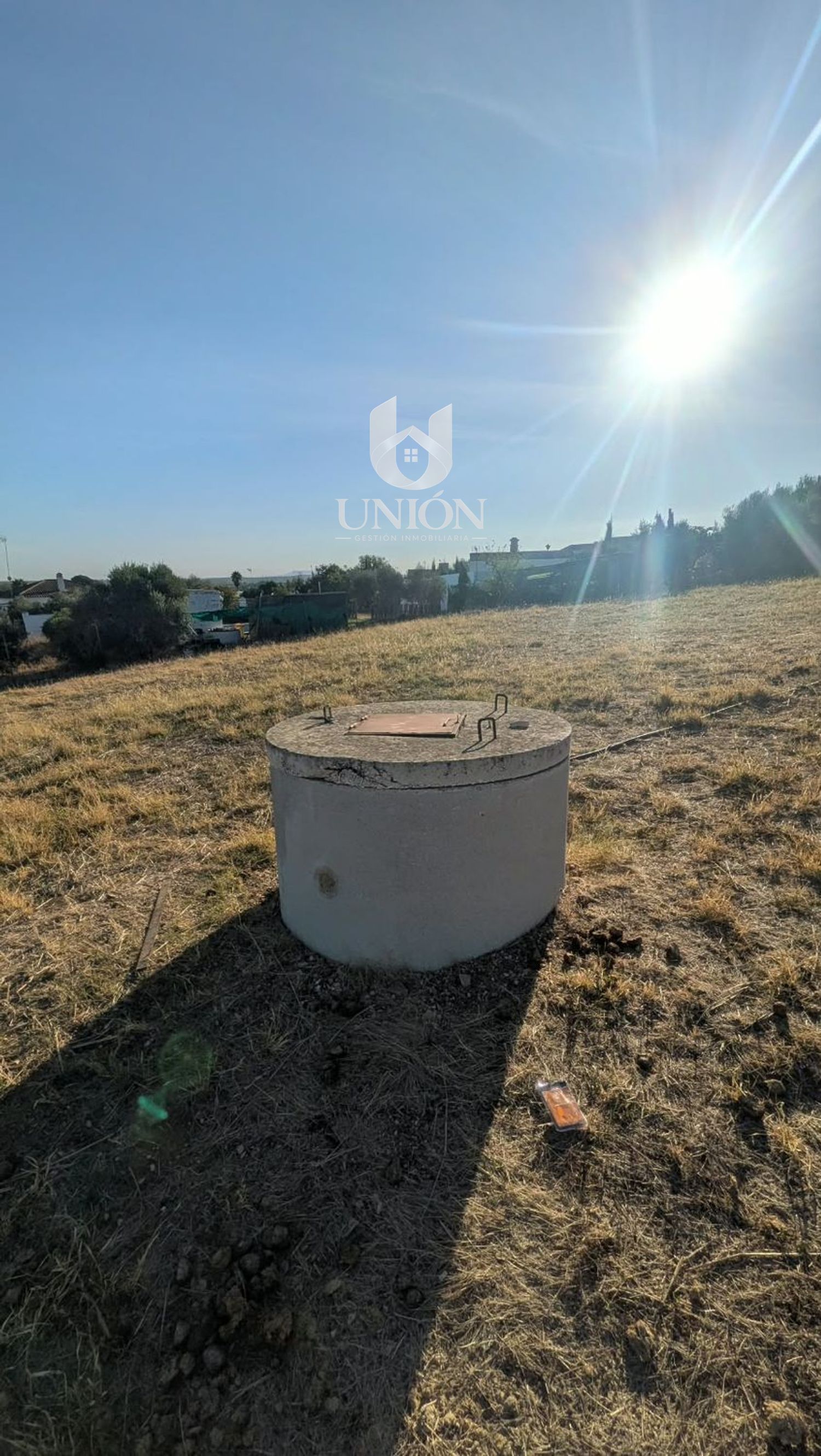 TERRENO EN CARRIL DEL PINO (CTRA. MARCHENA - LA PUEBLA) - Foto 3