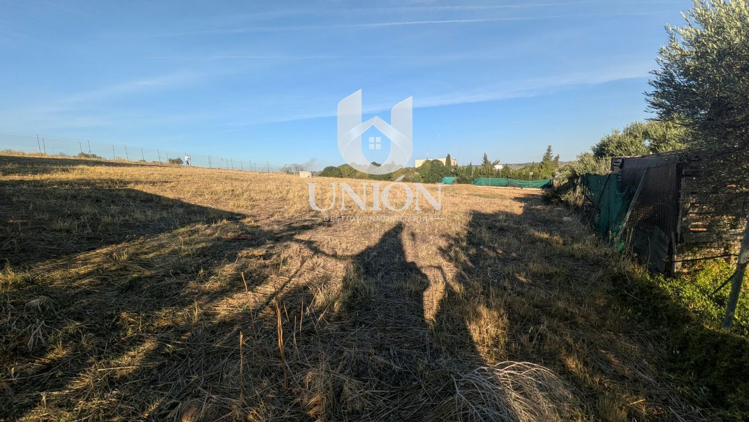 TERRENO EN CARRIL DEL PINO (CTRA. MARCHENA - LA PUEBLA) - Foto 9
