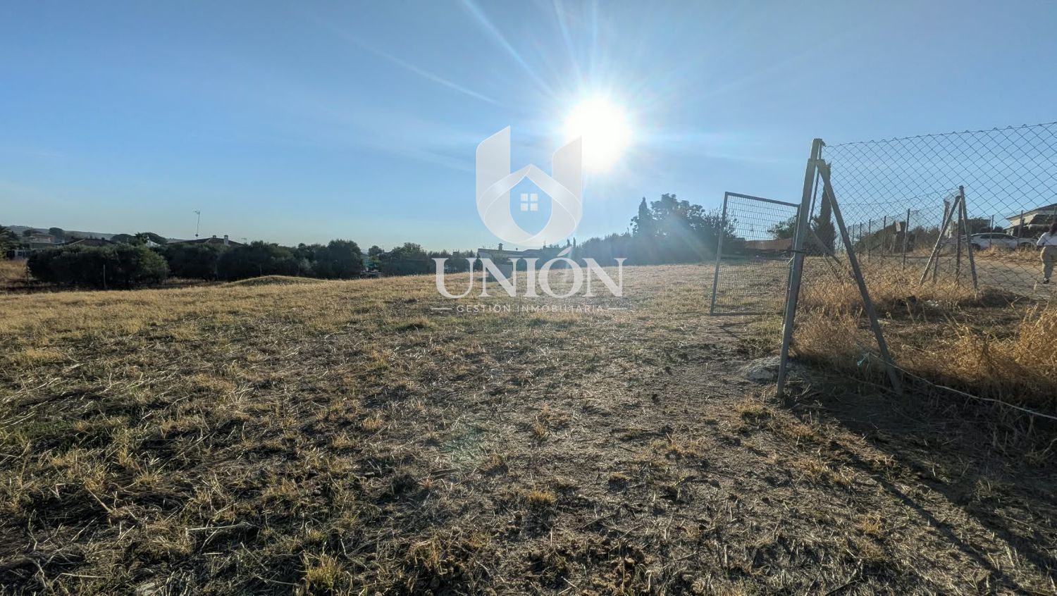 TERRENO EN CARRIL DEL PINO (CTRA. MARCHENA - LA PUEBLA) - Foto 2