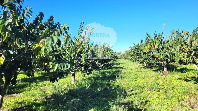 Parcela en venta Motril, Granada. Ref: 1396. Urbesa Inmobiliaria