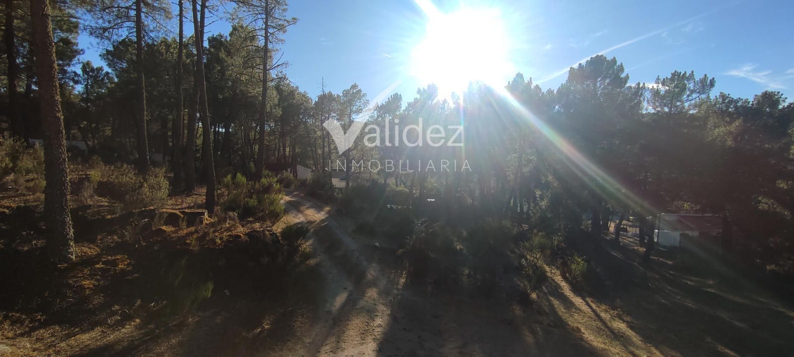 VISTAS - CHALET ÚNICO EN SANTA MARÍA DE LA ALAMEDA – NATURALEZA, PRIVACIDAD Y TRANQUILIDAD