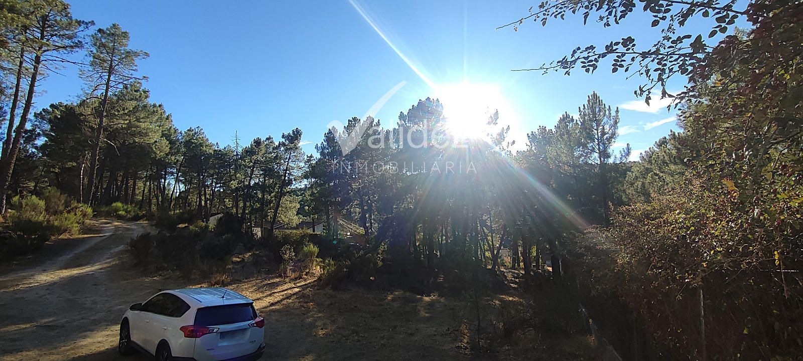 ENTORNO - CHALET ÚNICO EN SANTA MARÍA DE LA ALAMEDA – NATURALEZA, PRIVACIDAD Y TRANQUILIDAD