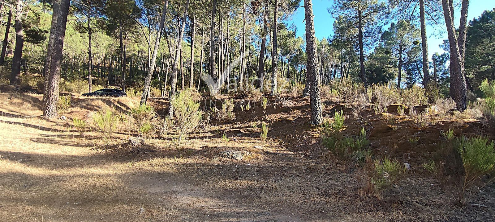 ENTORNO - CHALET ÚNICO EN SANTA MARÍA DE LA ALAMEDA – NATURALEZA, PRIVACIDAD Y TRANQUILIDAD
