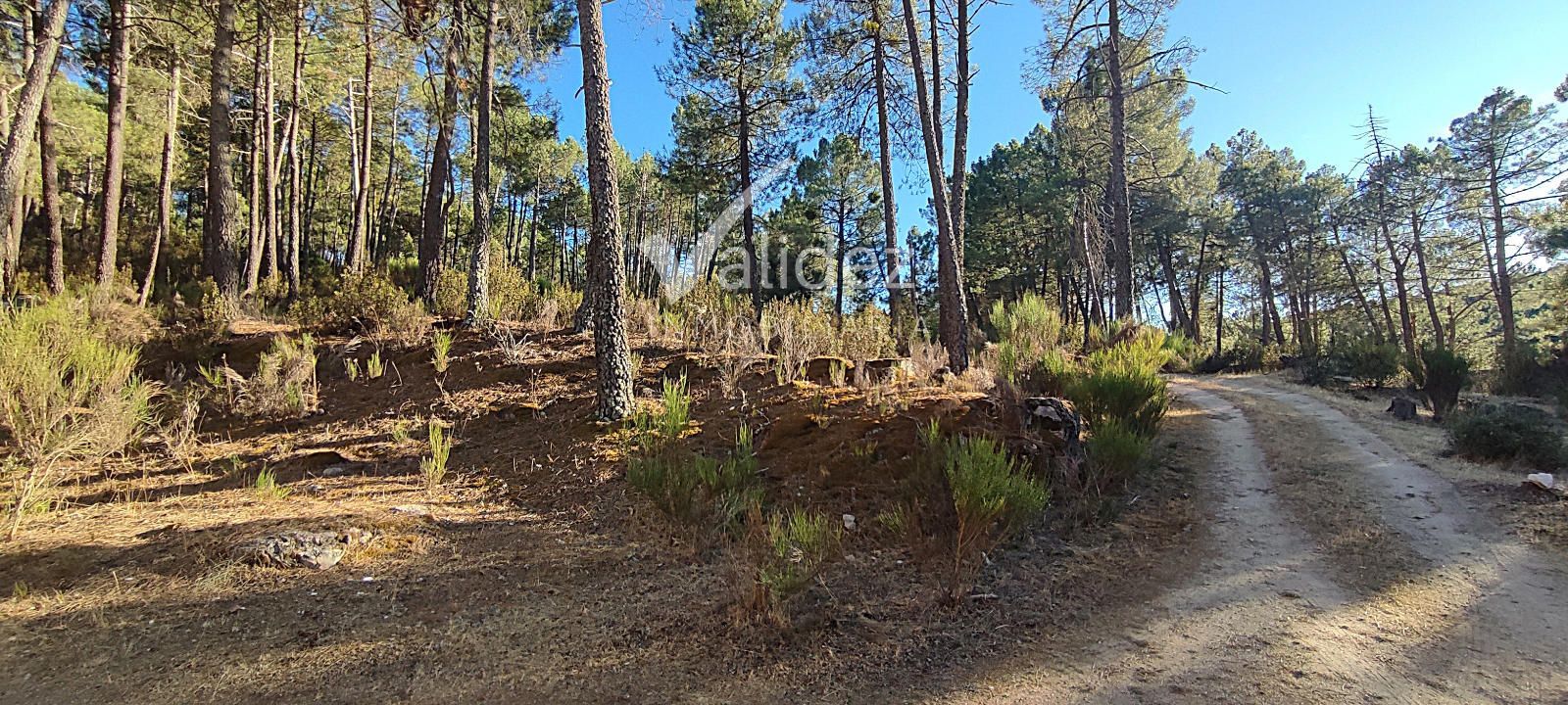 ENTORNO - CHALET ÚNICO EN SANTA MARÍA DE LA ALAMEDA – NATURALEZA, PRIVACIDAD Y TRANQUILIDAD
