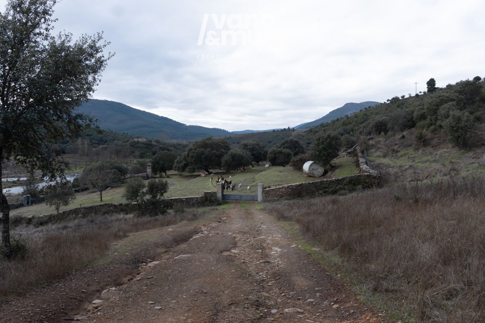 parcelas en sotoserrano ·  130000€