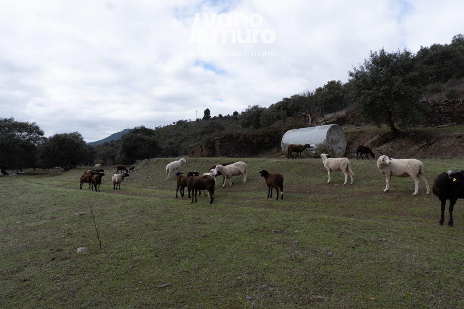 parcelas en sotoserrano ·  130000€