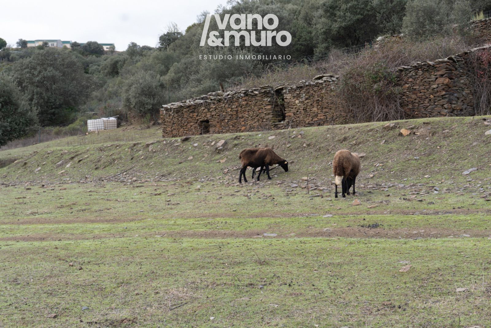 parcelas en sotoserrano ·  130000€