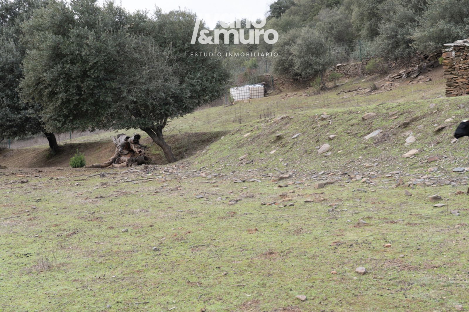 parcelas en sotoserrano ·  130000€