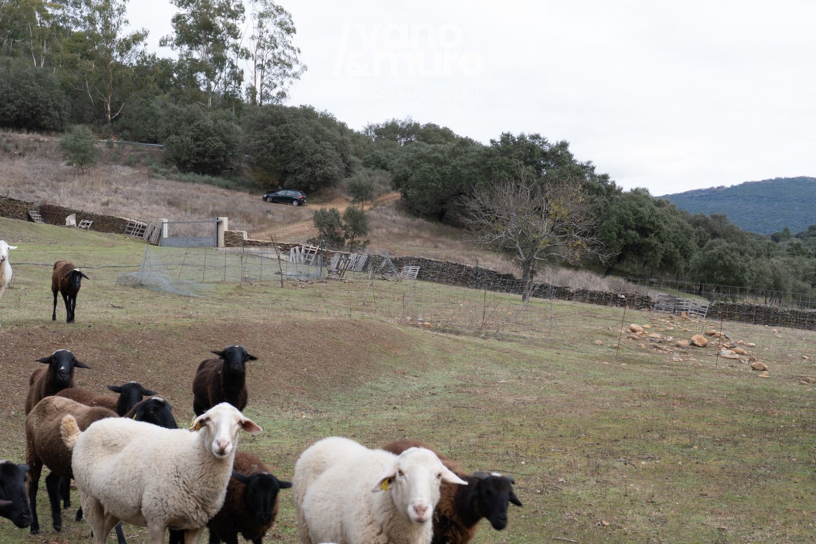 parcelas en sotoserrano ·  130000€