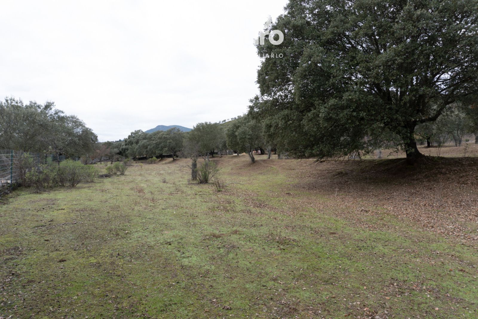 parcelas en sotoserrano ·  130000€