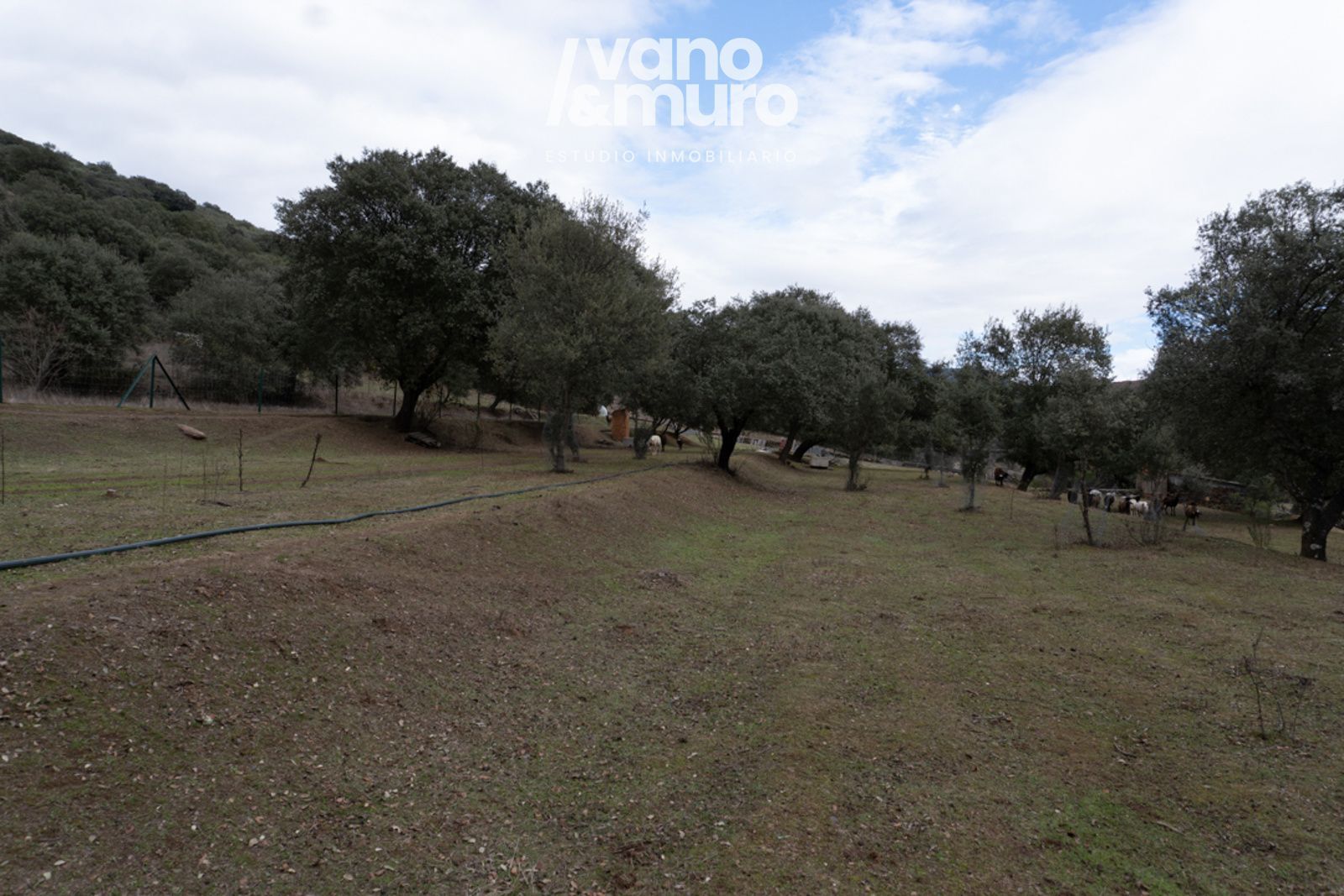 parcelas en sotoserrano ·  130000€