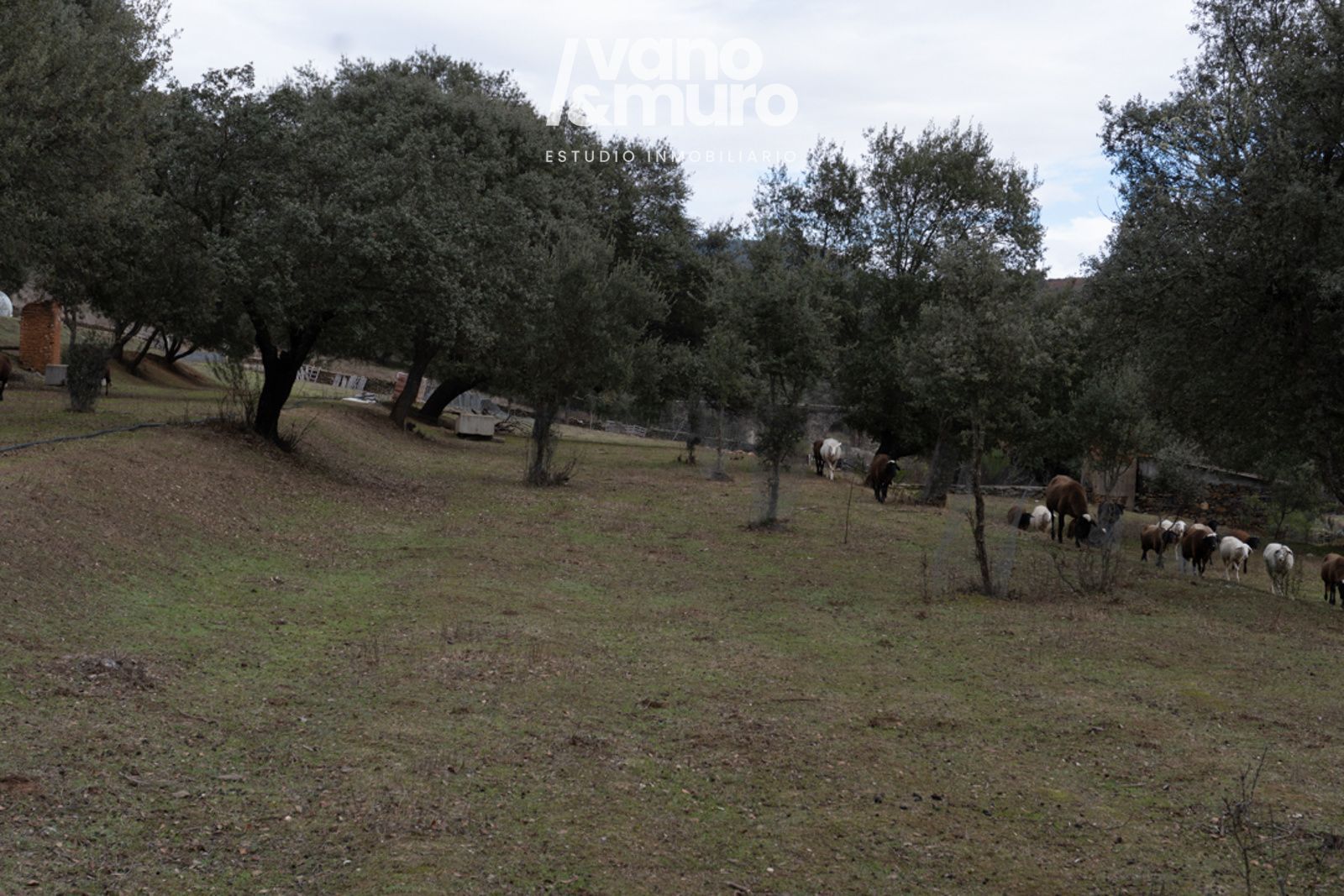 parcelas en sotoserrano ·  130000€