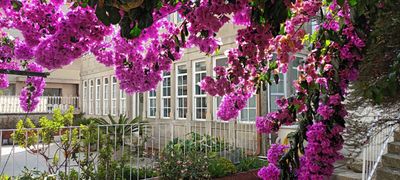 Chalet Independiente en venta Guarda, A, Pontevedra. Ref: 2743. Velian Group