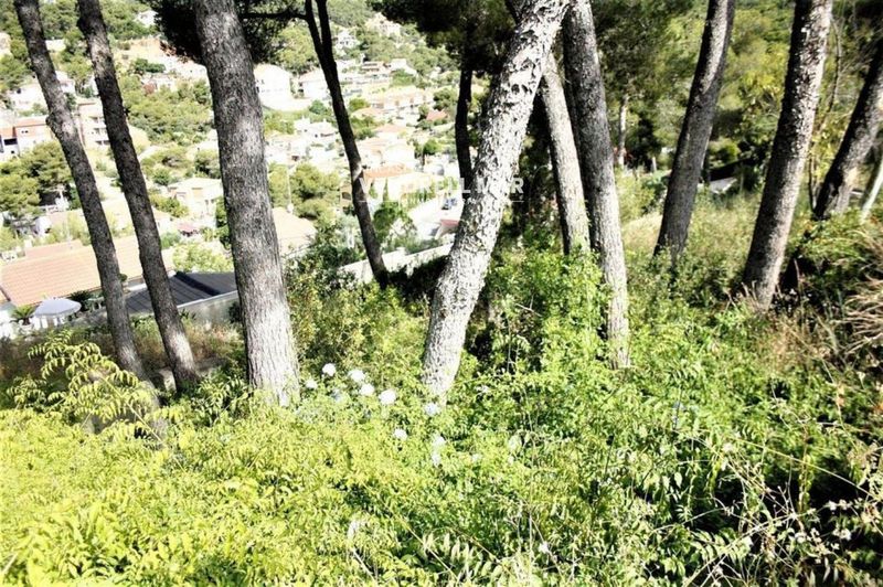 Parcela en venta Cubelles, Barcelona. Ref: 1885. Fincas Vendrell Mar