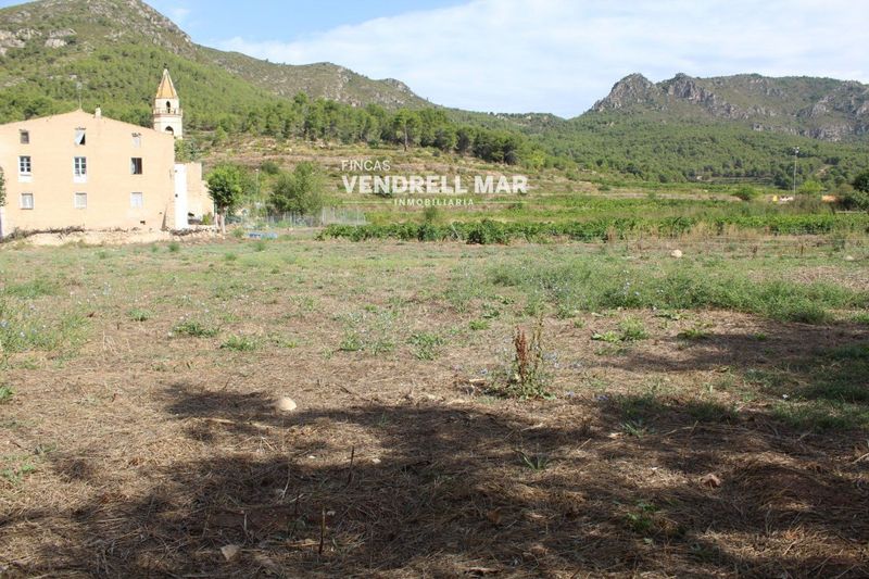 Plot for sale El Montmell, Tarragona. Ref: 2216. Fincas Vendrell Mar