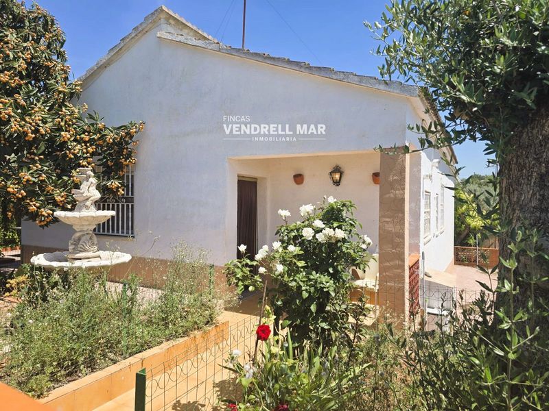 Detached Villa for sale La Bisbal del Penedes, Tarragona. Ref: 2229. Fincas Vendrell Mar