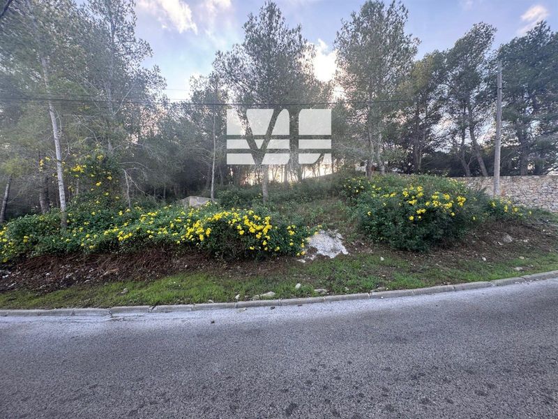 Parcela en venta La Bisbal del Penedes, Tarragona. Ref: 1386. Verónica Lopera