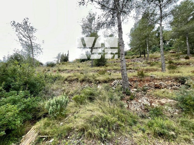 Parcela en venta La Bisbal del Penedes, Tarragona. Ref: 1471. Verónica Lopera