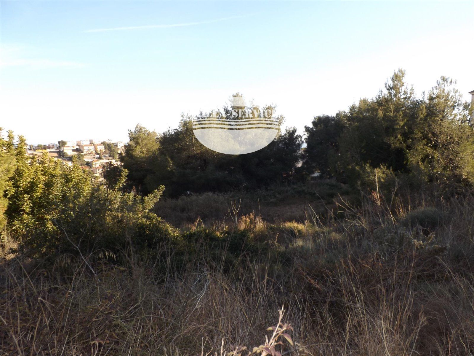 image Donde el horizonte se convierte en hogar 6