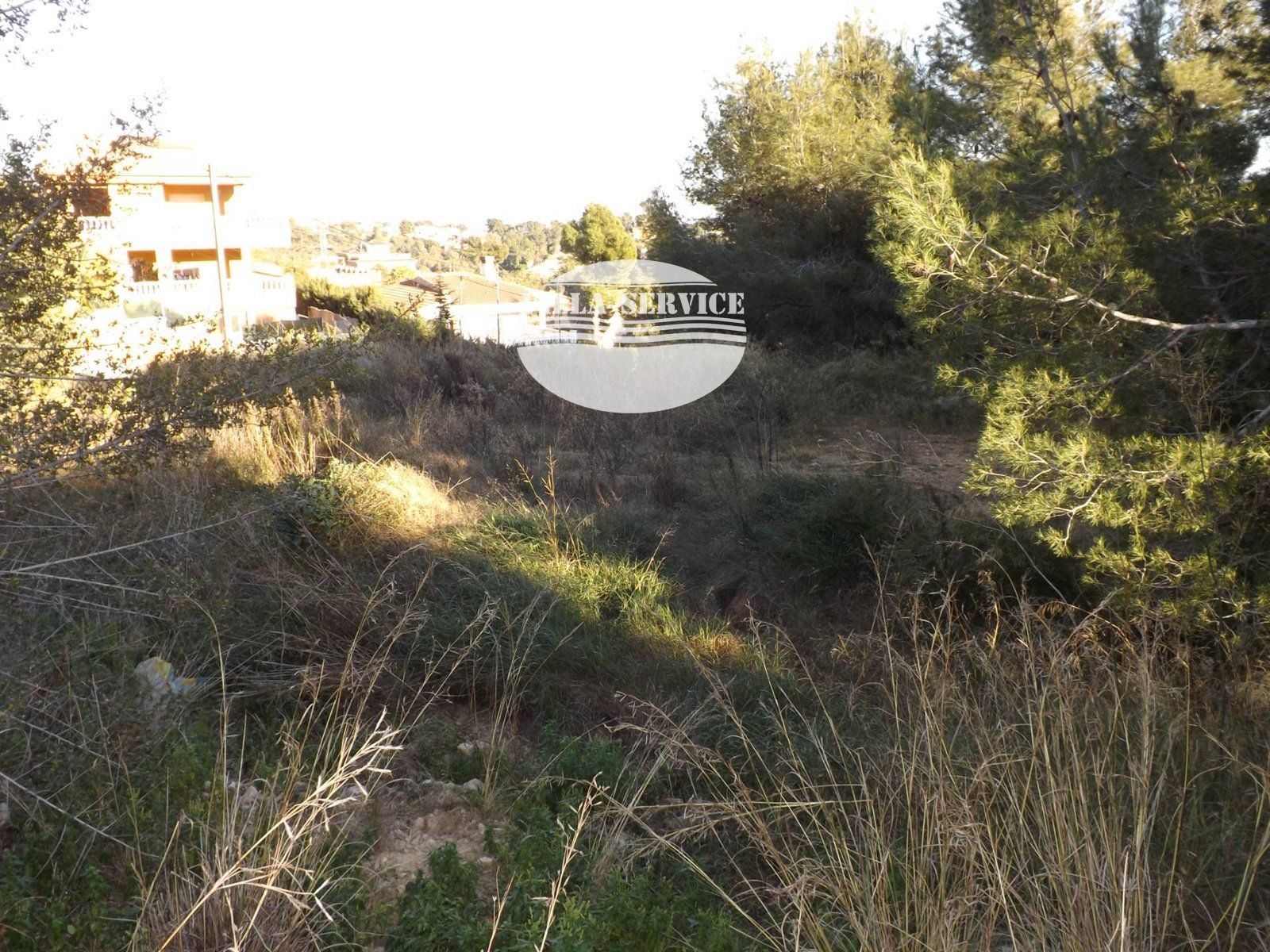 image Donde el horizonte se convierte en hogar 8