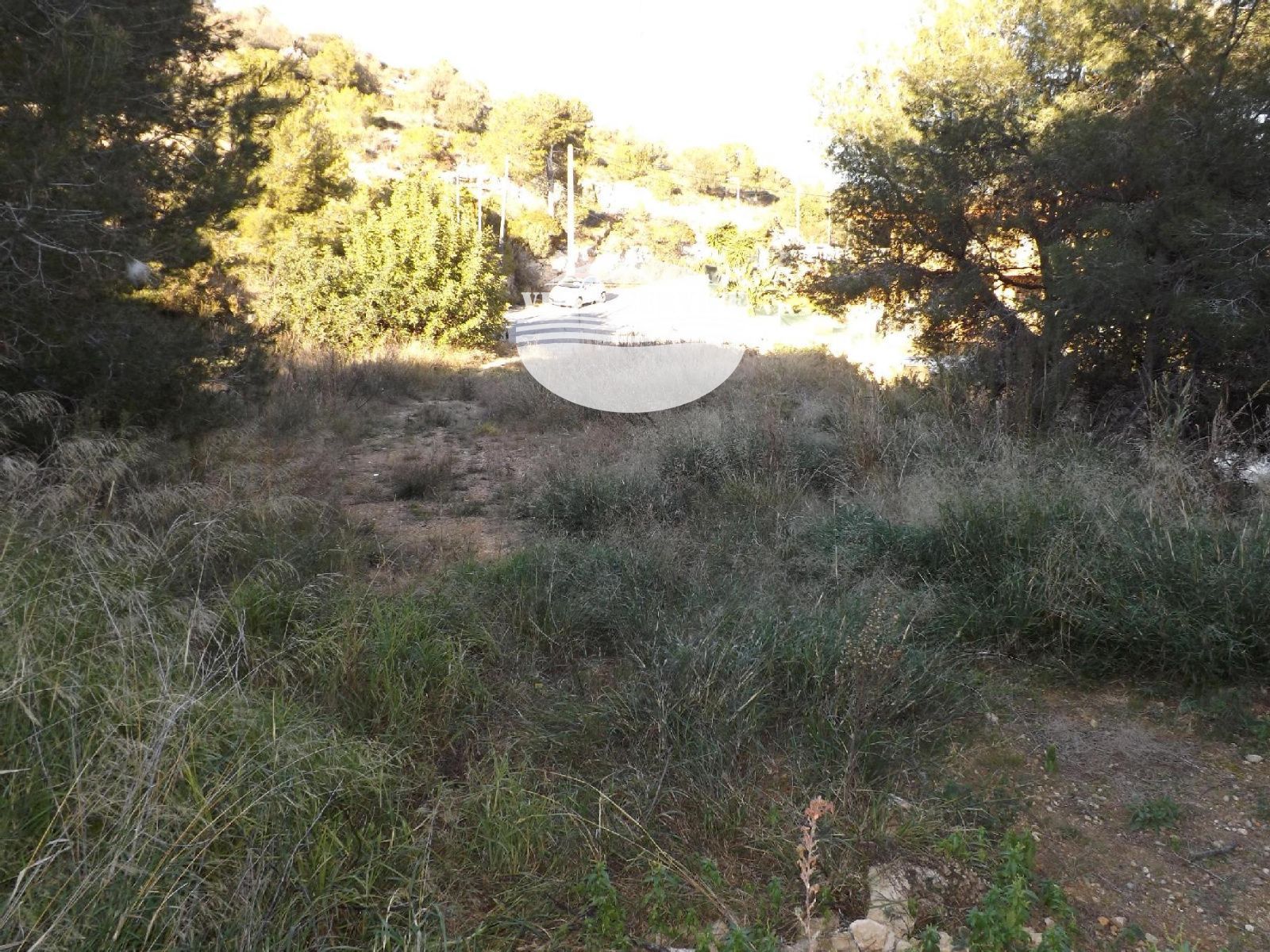 image Donde el horizonte se convierte en hogar 13