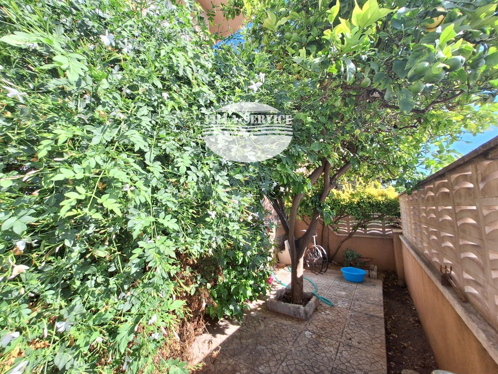 image PRECIOSA PLANTA BAJA EN EL CORAZÓN DE CUBELLES 31