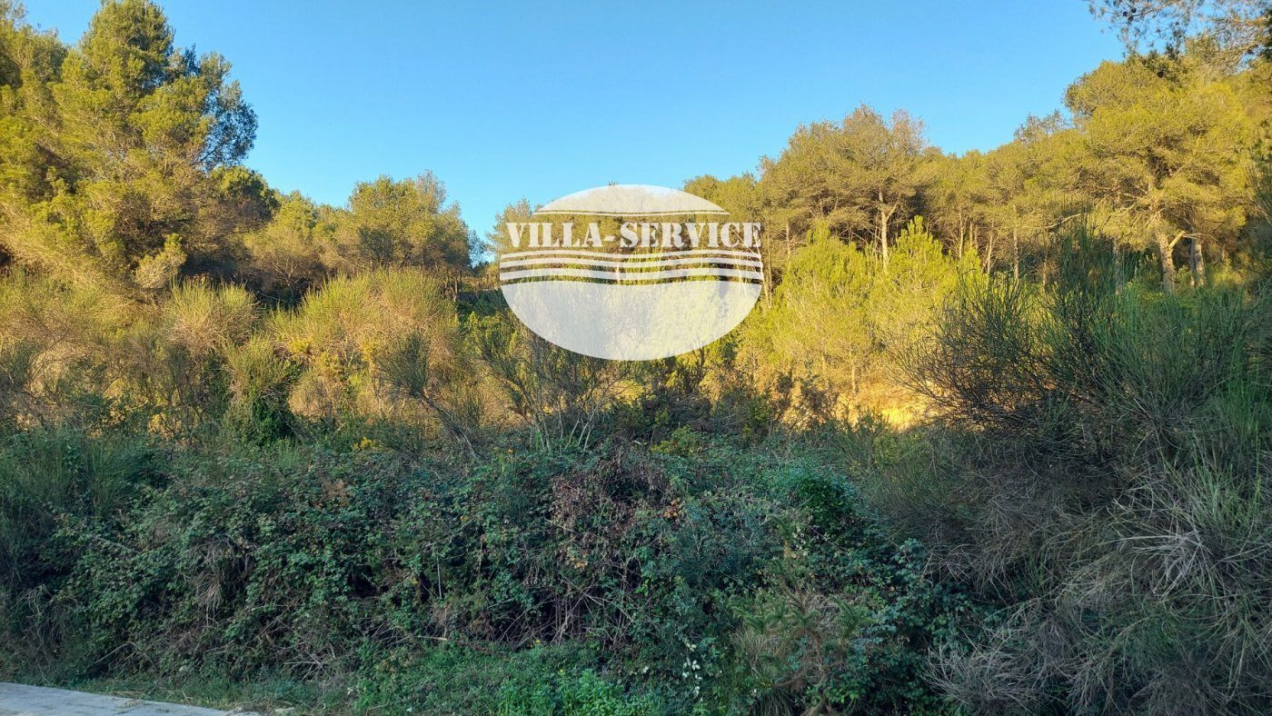 ¡Estupendo solar para empezar la casa de tus sueños!