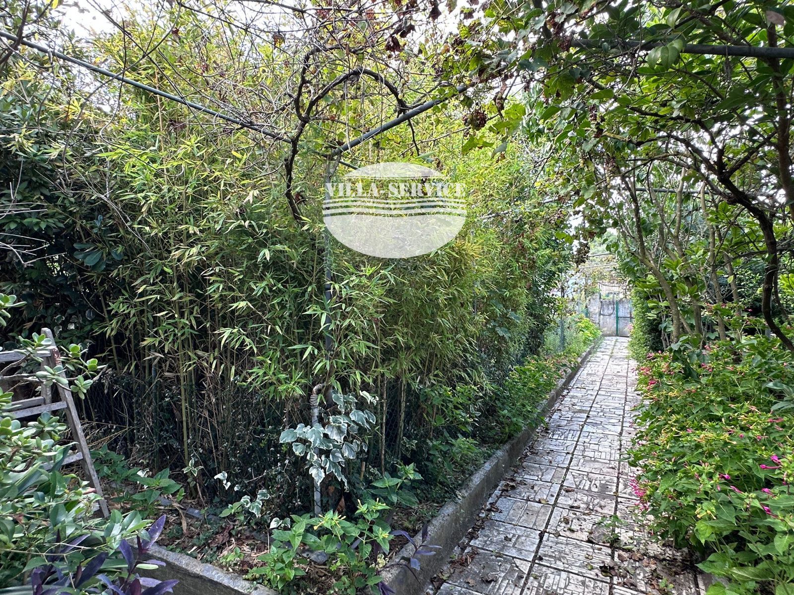 image Piso en Castellet y La Gornal con gran parcela 14