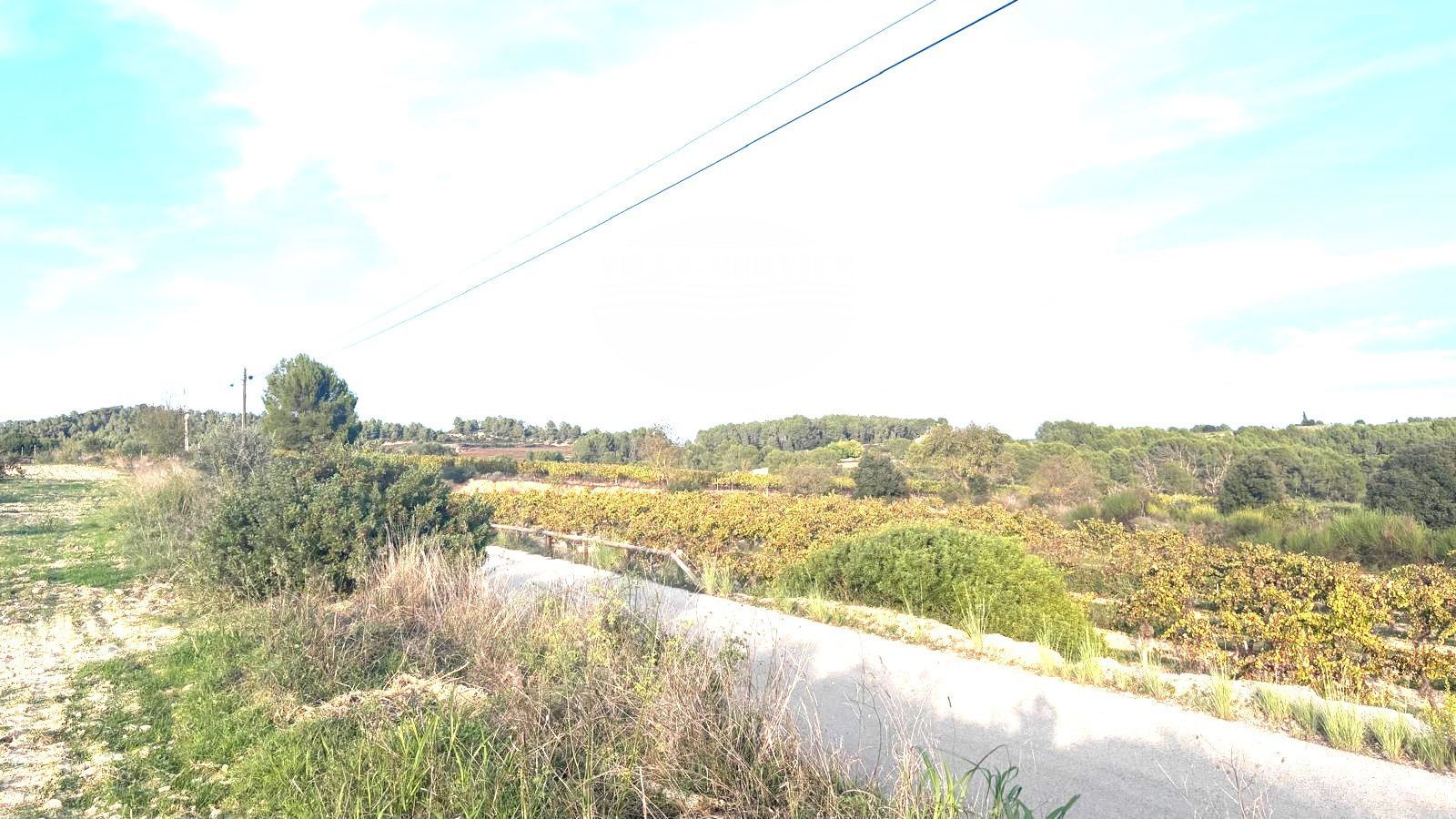 image MASIA CON VIÑEDOS A LA VENTA SANT SADURNI D`ANOIA 52