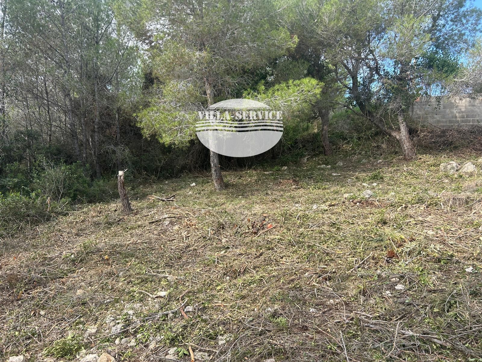 image SOLAR EN VENTA EN SEGUR DE DALT 5