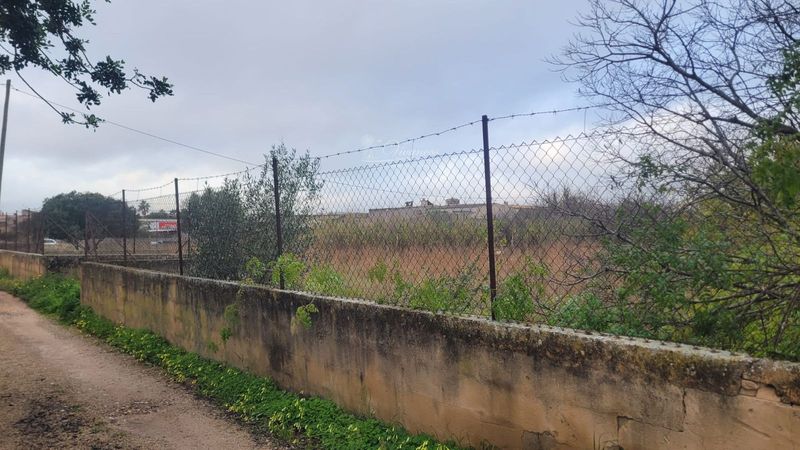 Parcela en venta Marratxí, Baleares. Ref: 1010. Inmobiliaria Vivancos