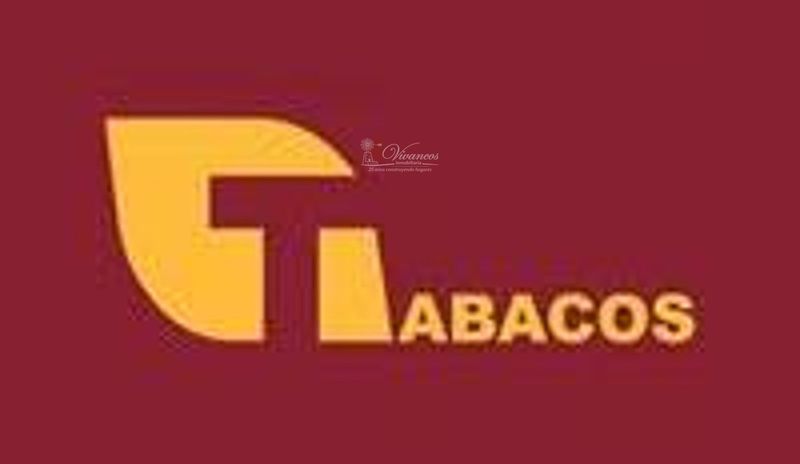 Local Comercial en traspaso Palma De Mallorca, Baleares. Ref: 1034. Inmobiliaria Vivancos