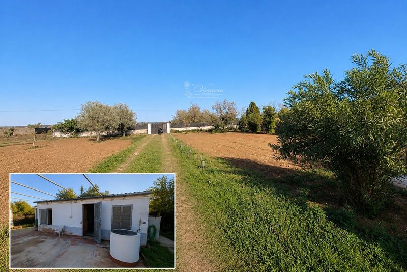 Parcela en venta Palma De Mallorca, Baleares. Ref: 1075. Inmobiliaria Vivancos