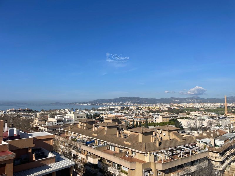 Piso en venta Palma De Mallorca, Baleares. Ref: 1082. Inmobiliaria Vivancos