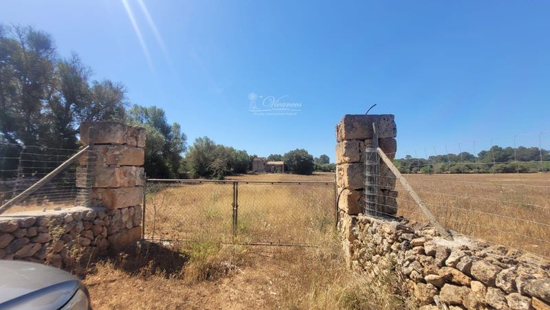 Parcela en venta Algaida, Baleares. Ref: 1122. Inmobiliaria Vivancos