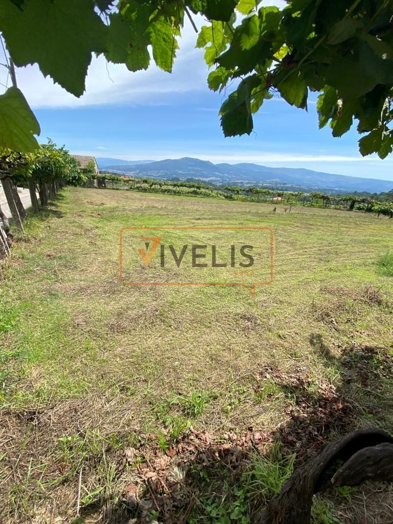 Parcela en venta Tui, Pontevedra. Ref: 1047. Vivelis