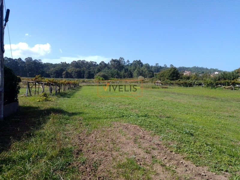 Parcela en venta Tomiño, Pontevedra. Ref: 1053. Vivelis
