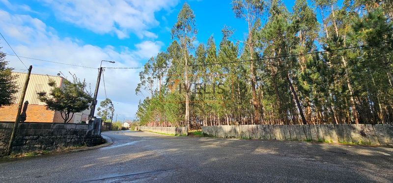 Parcela en venta Tui, Pontevedra. Ref: 1122. Vivelis