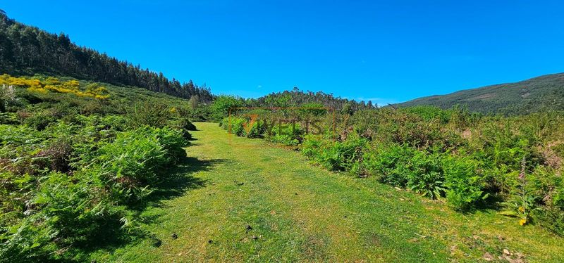 Parcela en venta O Rosal, Pontevedra. Ref: 1137. Vivelis