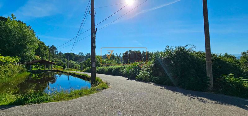 Parcela en venta Tui, Pontevedra. Ref: 1143. Vivelis