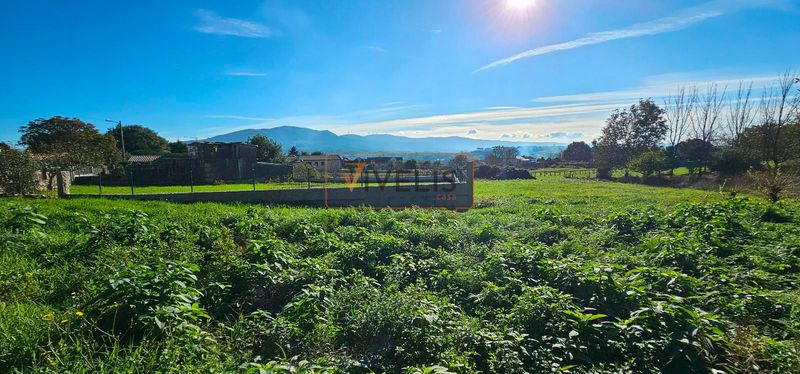 Parcela en venta Tui, Pontevedra. Ref: 1216. Vivelis