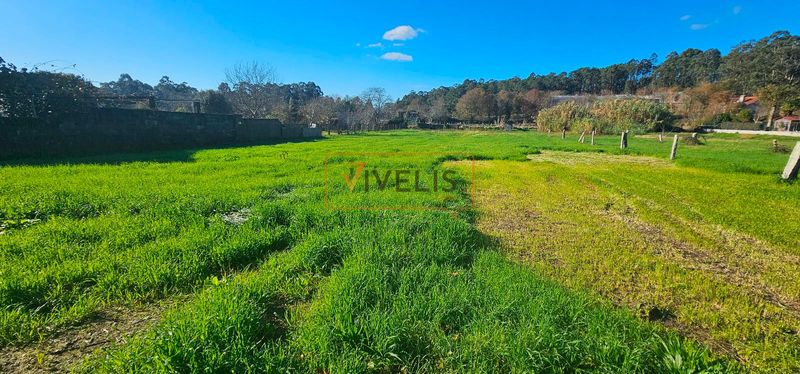 Parcela en venta Tui, Pontevedra. Ref: 1228. Vivelis
