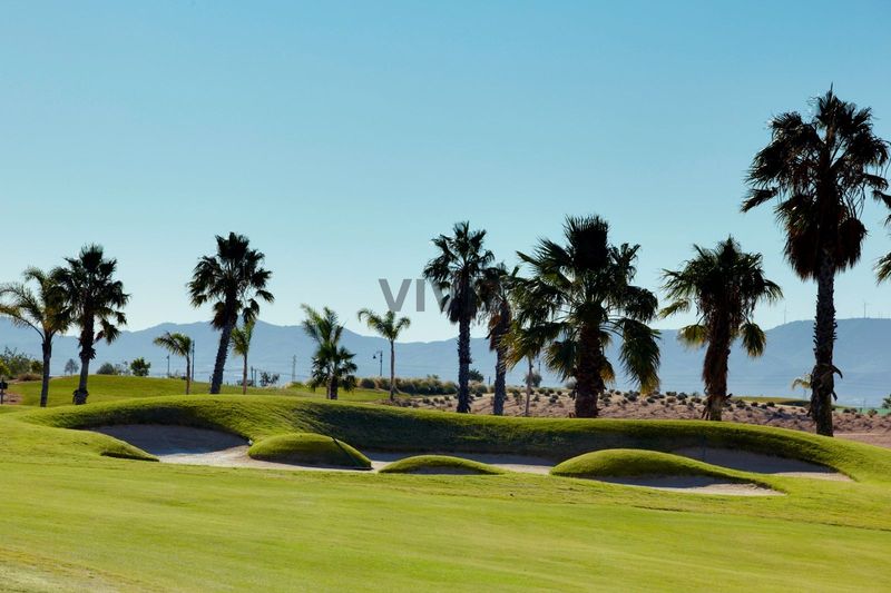 Piso en venta Torre Pacheco, Murcia. Ref: 91392. VIVIZ