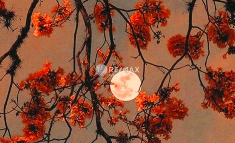 Plot for sale Uceda, Guadalajara. Ref: 7609. Remax Welcome