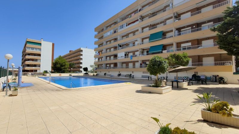 Apartamento en venta  en Torrevieja, Alicante . Ref: 10055. Mayrasa Properties Costa Blanca