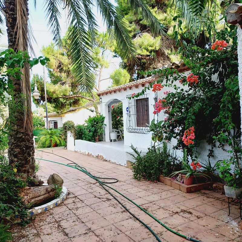 Freistehende Villa zu verkaufen Torrevieja, Alicante. Ref: 18366. Mayrasa Properties Costa Blanca