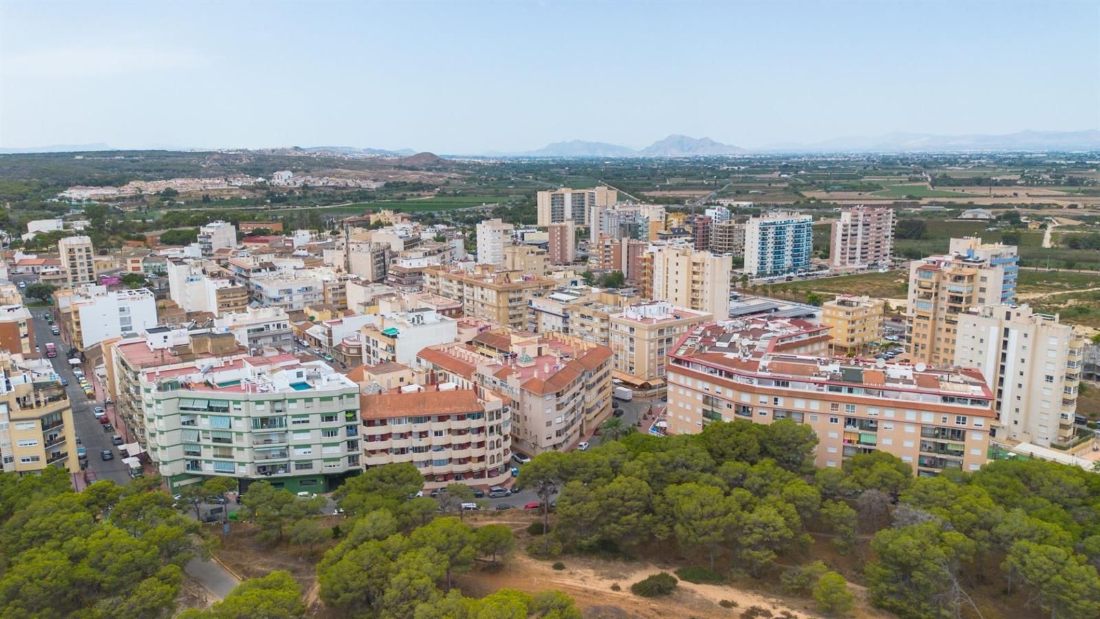 Apartamento en Guardamar del Segura a 800 metros de la playa · foto 22