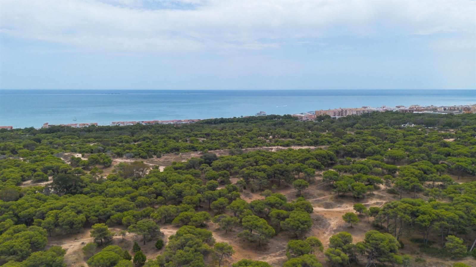 Apartamento en Guardamar del Segura a 800 metros de la playa · foto 23