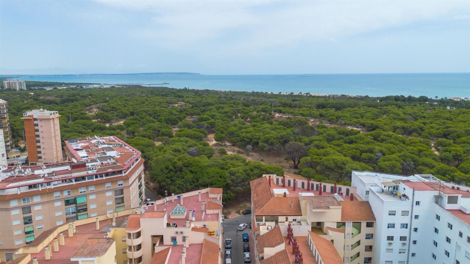 Apartamento en Guardamar del Segura a 800 metros de la playa · foto 25